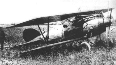 Richthofen's Albatros D.Va stands in a field near Wervicq, Belgium, after he was forced to land with a serious head wound on July 6th, 1917. (wikipedia)  
