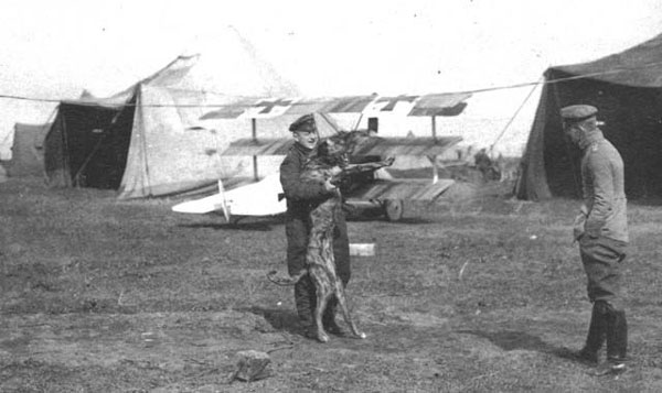 von Richthofen and Moritz, playing in front of a Jasta 11 Dr.1 at Awoingt, France, in March 1918. Ltn. Erich Lowenhardt looks on.