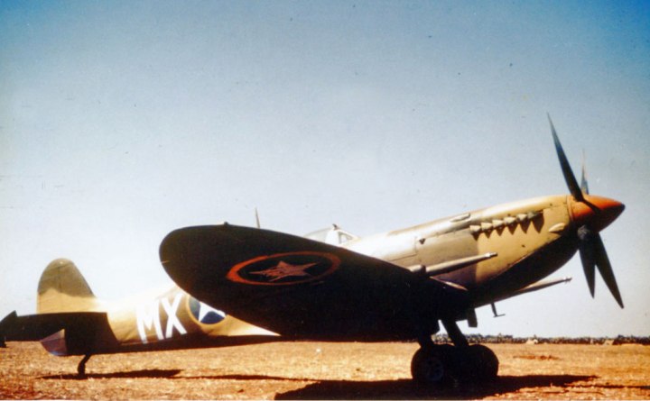 Striking view of a Spitfire Mk.IX of the 307th FS, 31st FG USAAF, serving in the North African campaign. (SDASM #43098641)