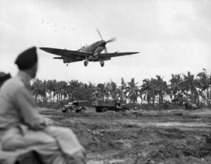 Ready to belie its reputation for being 'delicate', a RAAF Spitfire Mk.VIII approaches a rough new strip on Balakpapan, in 1944. (State Library of Victoria)