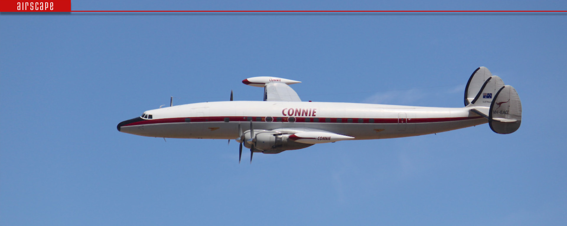 conniefeature2.jpg?w=1920&h=